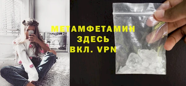 прущие грибы Вяземский