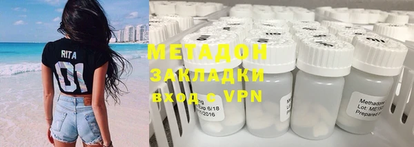 прущие грибы Вяземский