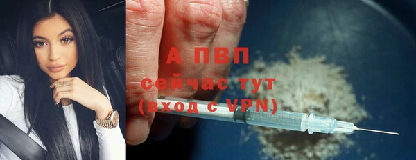 дживик Горняк