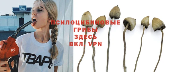 трава Горнозаводск