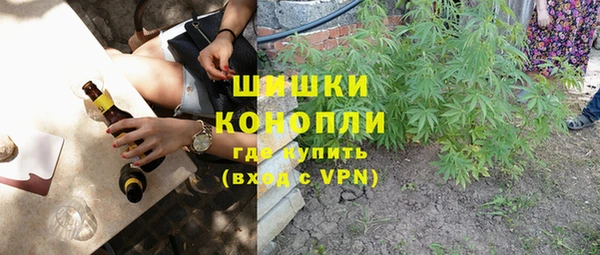 прущие грибы Вяземский