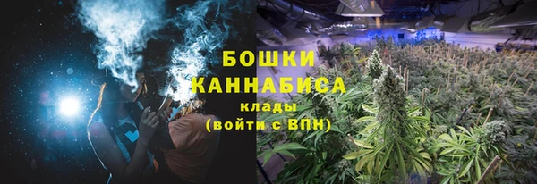 дживик Горняк