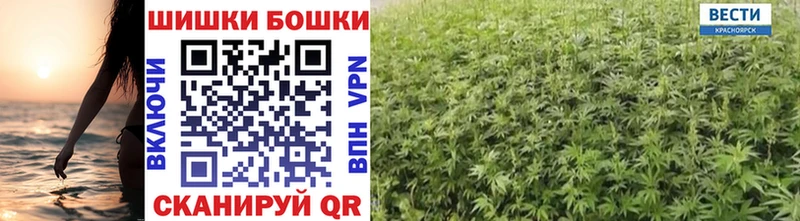 Купить Ливны Шишки марихуана White Widow